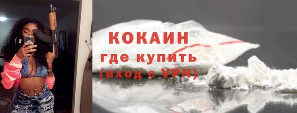дмт Менделеевск
