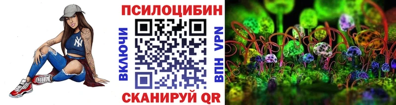 Галлюциногенные грибы GOLDEN TEACHER  Петровск 